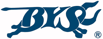 Logo BYŚ